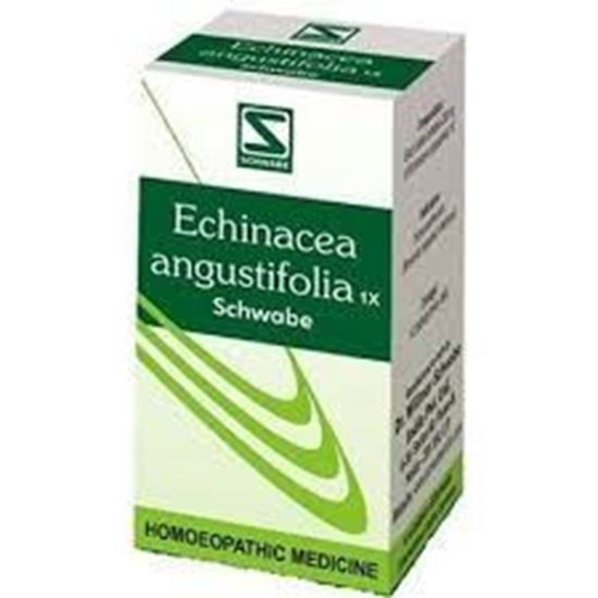 Picture of Dr Willmar Schwabe Echinacea Angustifolia Trituration Tablet 1X