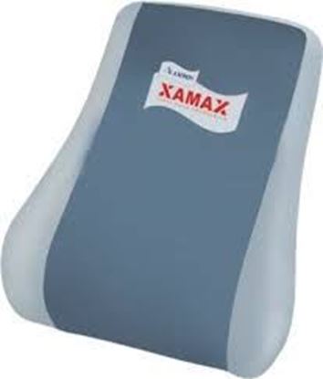 Picture of Amron Xamax Backrest (Executive) Grey