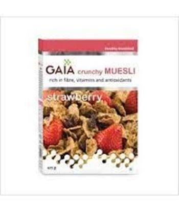 Picture of GAIA Crunchy Muesli Diet