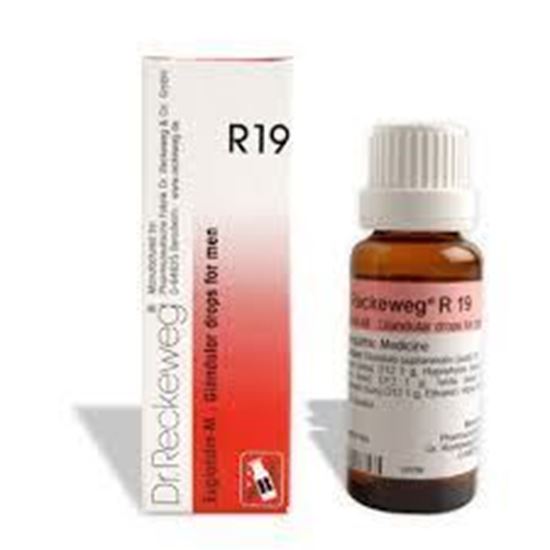 Picture of Dr. Reckeweg R19