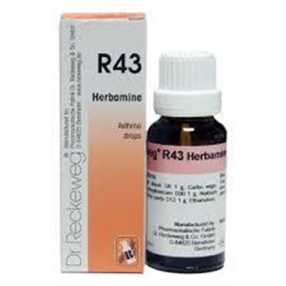Picture of Dr. Reckeweg R43 (Herbamine) (22ml)