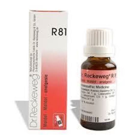 Picture of Dr. Reckeweg R81 (Maldol) (22ml)