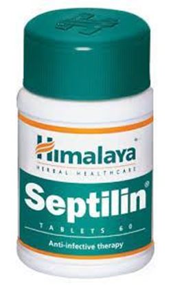 Picture of Himalaya Septilin Tablet