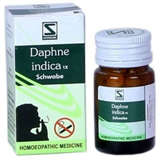 Picture of Willmar Schwabe India Daphne Indica 1X Tablets