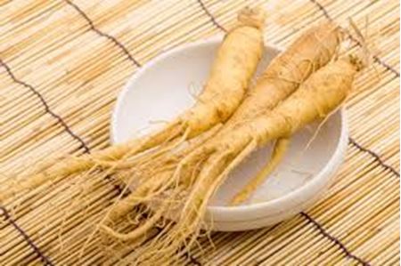Picture for category Ginseng