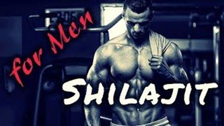 Picture for category Shilajit