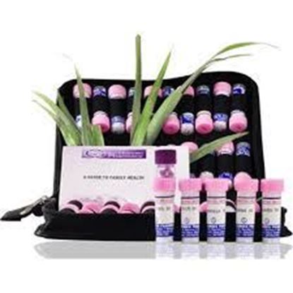 Picture of SBL Homeopathic Kit in Pills