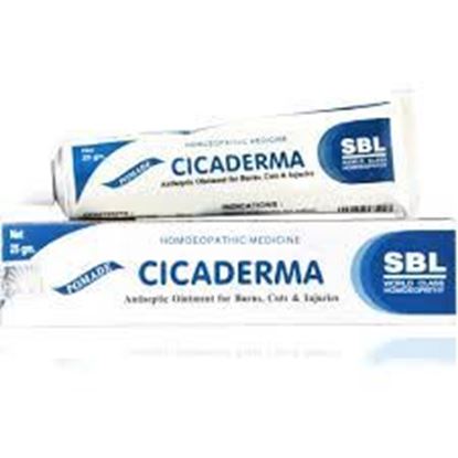 Picture of SBL Cicaderma Ointment (25g)