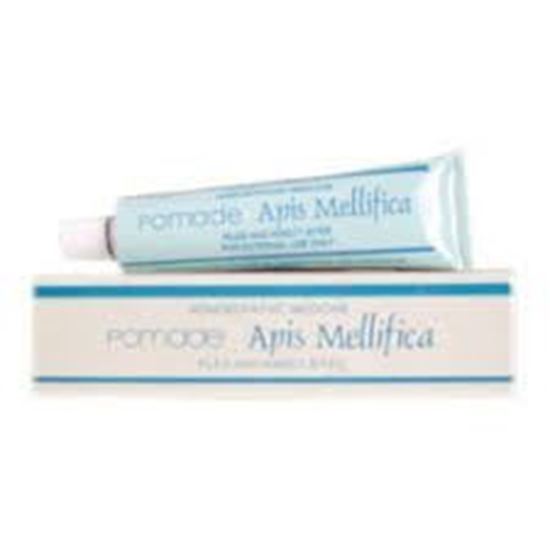 Picture of SBL Apis Mel Ointment (25g)