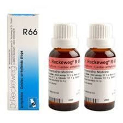 Picture of Dr. Reckeweg R66 (Arrhythmin) (22ml)