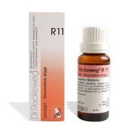 Picture of Dr. Reckeweg R11 (Lumbagin)