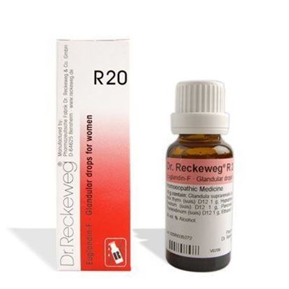 Picture of Dr. Reckeweg R20 (Euglandin-F)