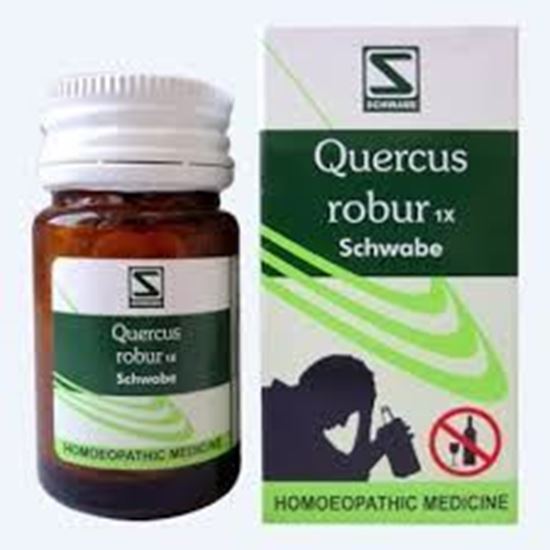 Picture of Willmar Schwabe India Quercus Robur 1X Tablets