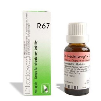 Picture of Dr. Reckeweg R67 (Kollapsin)