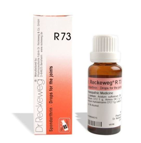 Picture of Dr. Reckeweg R73 Joint Pain Drop