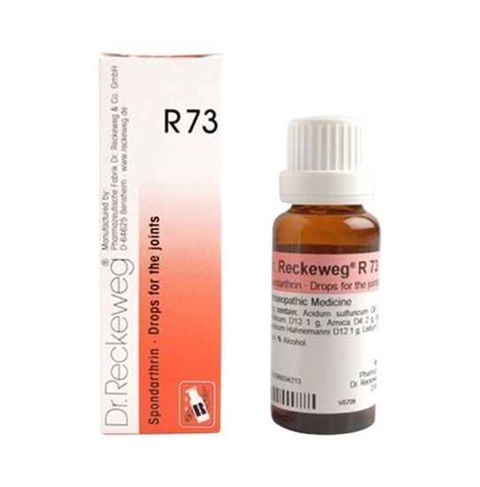 Picture of Dr. Reckeweg R73 Joint Pain Drop Pack of 2