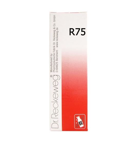 Picture of Dr. Reckeweg R75 Labour Pains and Menstrual Cramps Drop