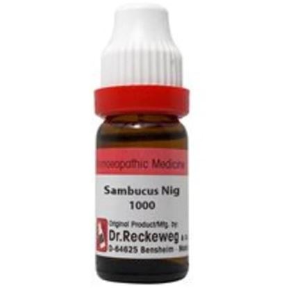 Picture of Dr. Reckeweg Sambucus Nig Dilution 1000 CH