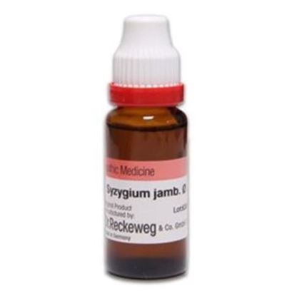 Picture of Dr. Reckeweg Syzygium Jamb Mother Tincture Q