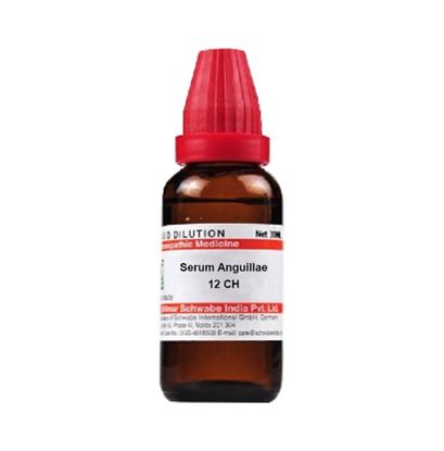 Picture of Dr Willmar Schwabe India Serum Anguillae Dilution 12 CH