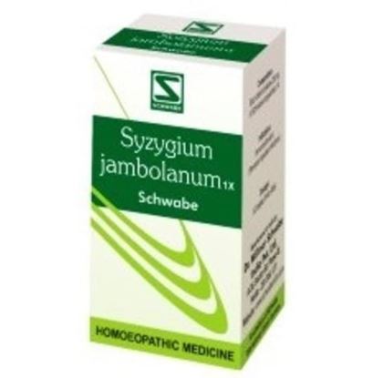 Picture of Dr Willmar Schwabe India Syzygium Jambolanum Trituration Tablet 1X