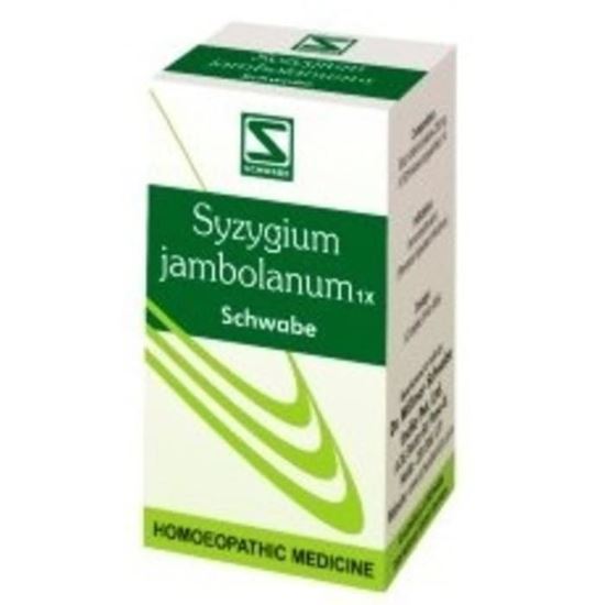 Picture of Dr Willmar Schwabe India Syzygium Jambolanum Trituration Tablet 1X