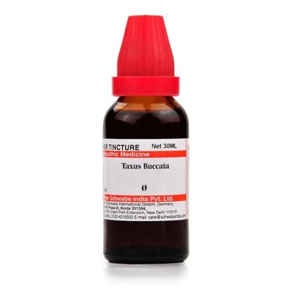 Picture of Dr Willmar Schwabe India Taxus Buccata Mother Tincture Q