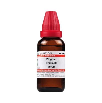 Picture of Dr Willmar Schwabe India Zingiber Officinale Dilution 30 CH