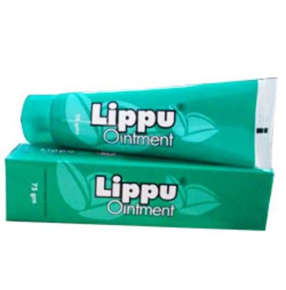 Picture of Dr. JRK Lippu Ointment