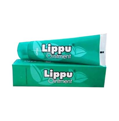 Picture of Dr. JRK Lippu Ointment Pack of 2