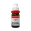 Picture of Dr. Reckeweg Cinnabaris Dilution 1000 CH