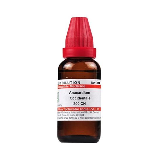 Picture of Dr Willmar Schwabe India Anacardium Occidentale Dilution 200 CH