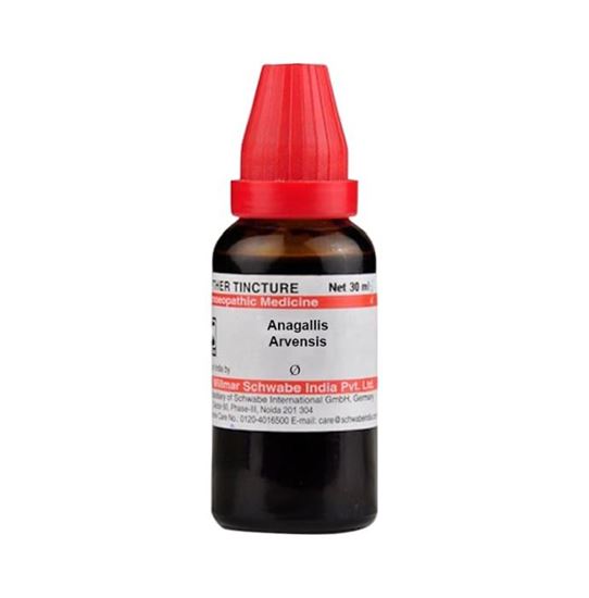 Picture of Dr Willmar Schwabe India Anagallis Arvensis Mother Tincture Q