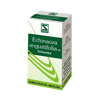 Picture of Dr Willmar Schwabe India Angustifolia Tablet 1X