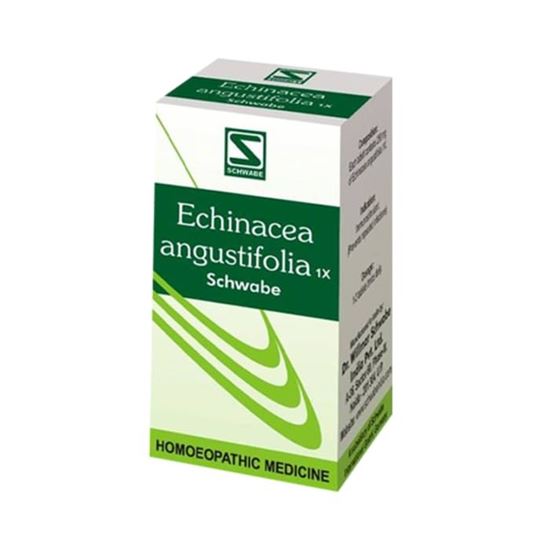 Picture of Dr Willmar Schwabe India Angustifolia Tablet 1X