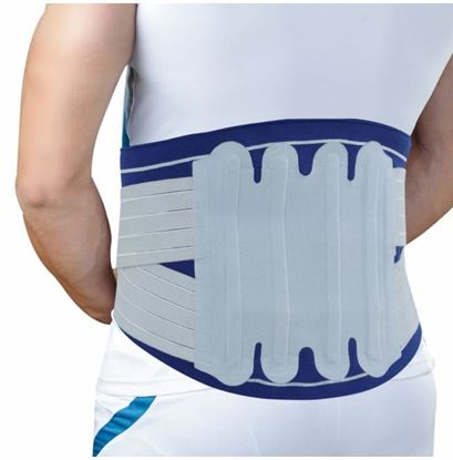 Picture of Lumbo Grip DS Lumbar Brace (Dual Straps) L