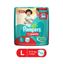 Picture of Pampers Baby Dry Pants Diaper L