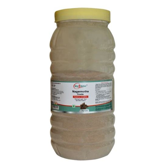 Picture of Way2Herbal Nagarmotha Powder