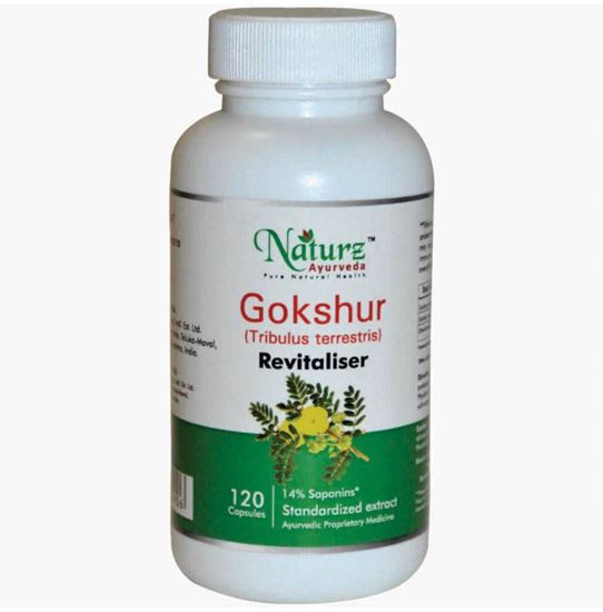 Picture of Naturz Ayurveda Gokshur 350mg Capsule