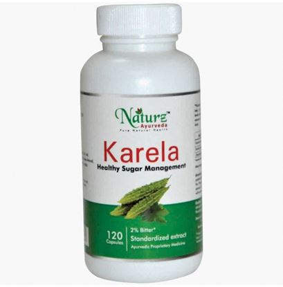 Picture of Naturz Ayurveda Karela 450mg Capsule