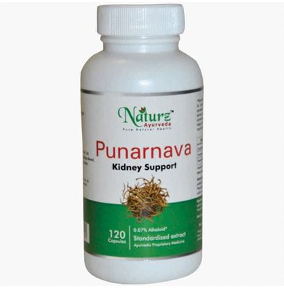 Picture of Naturz Ayurveda Punarnava 350mg Capsule