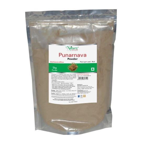 Picture of Naturz Ayurveda Punarnava Powder