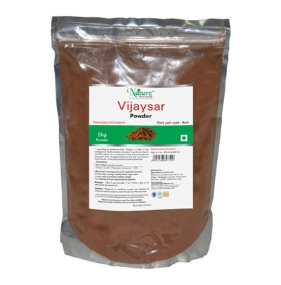 Picture of Naturz Ayurveda Vijaysar Powder