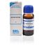 Picture of SBL Agave Americana Mother Tincture Q