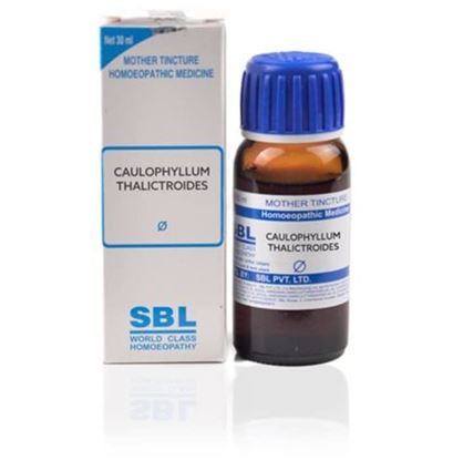 Picture of SBL Caulophyllum Thalictroides Mother Tincture Q