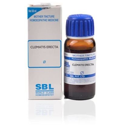 Picture of SBL Clematis Erecta Mother Tincture Q