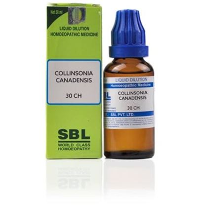 Picture of SBL Collinsonia Canadensis Dilution 30 CH