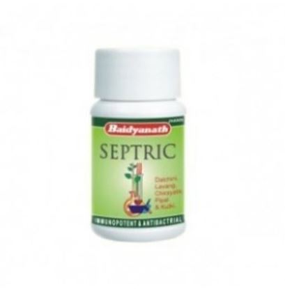 Picture of Baidyanath Septric Tablet