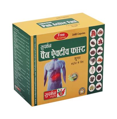 Picture of Sudarshan Ayurveda Pan Active Fast with 20 Capsule Free