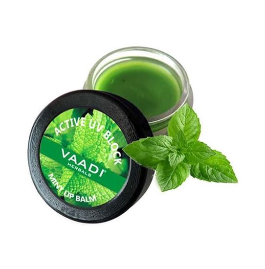 Picture of Vaadi Herbals Value Pack of 4 Lip Balm (10gm Each) Mint